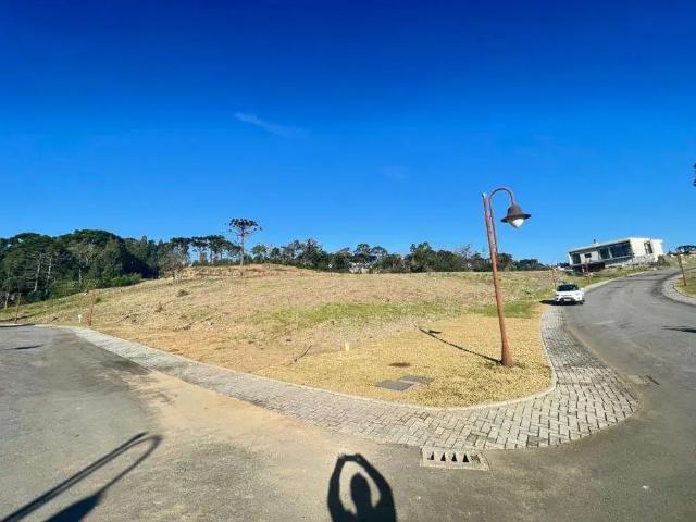 Terreno venda em Gramado