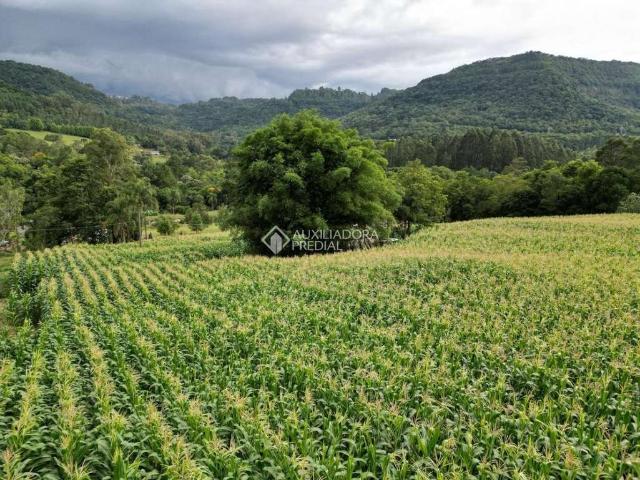 Terreno venda em Região Geográfica Imediata de Uruguaiana, Alegrete
