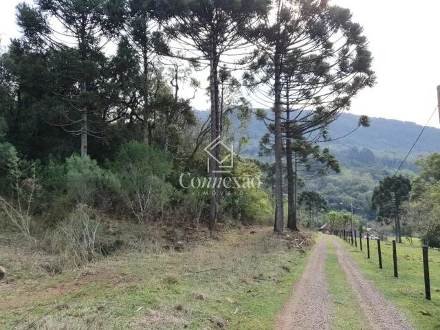 Terreno venda em Gramado