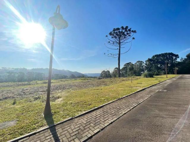 Terreno venda em Gramado