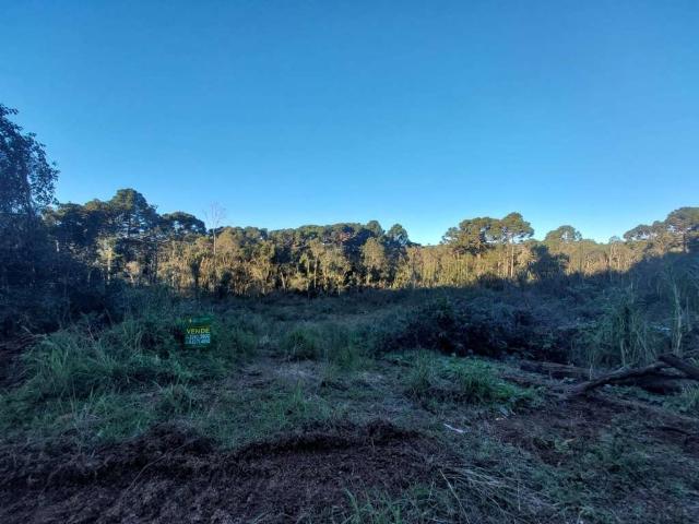 Terreno venda em Região Geográfica Imediata de Caxias do Sul, Gramado