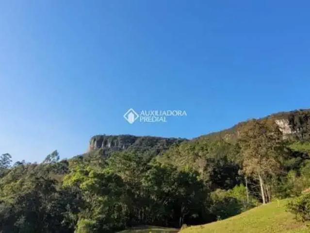 Terreno venda em Gramado