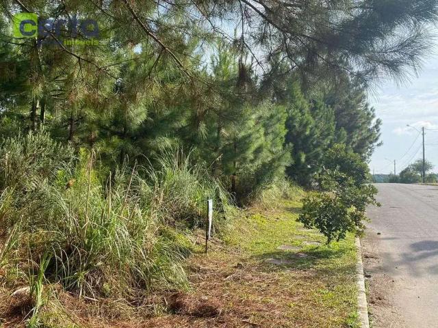 Terreno venda em Região Geográfica Imediata de Caxias do Sul, Gramado