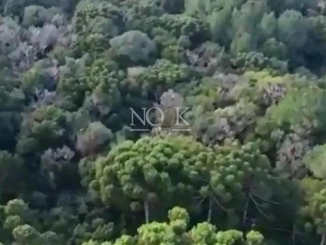 Terreno venda em Gramado