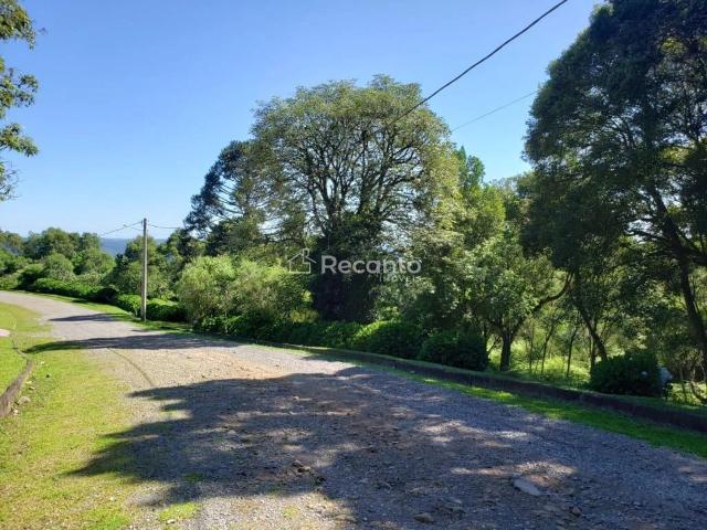 Terreno venda em Gramado