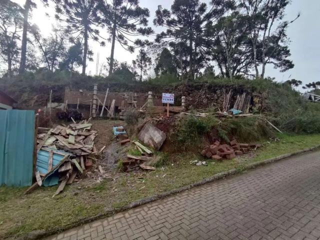 Terreno venda em Gramado