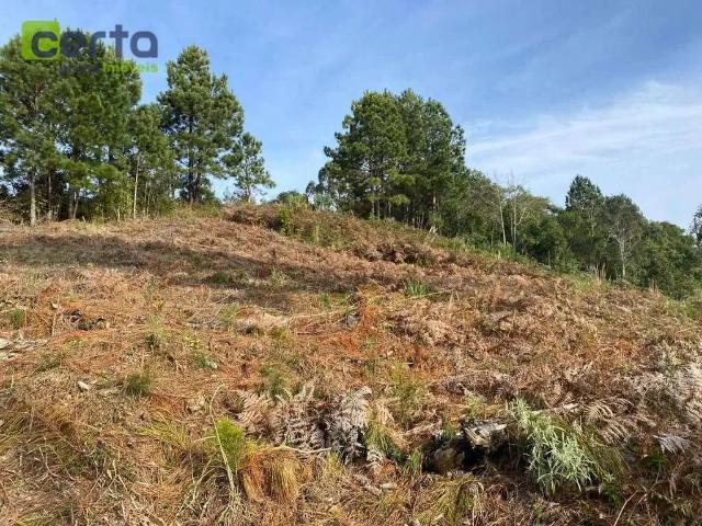 Terreno venda em Gramado