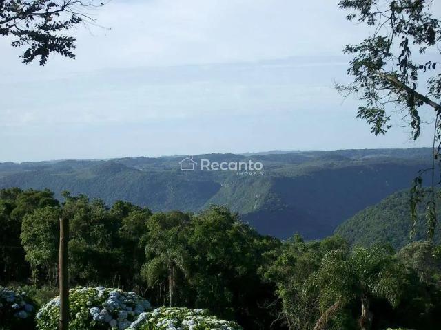 Terreno venda em Gramado
