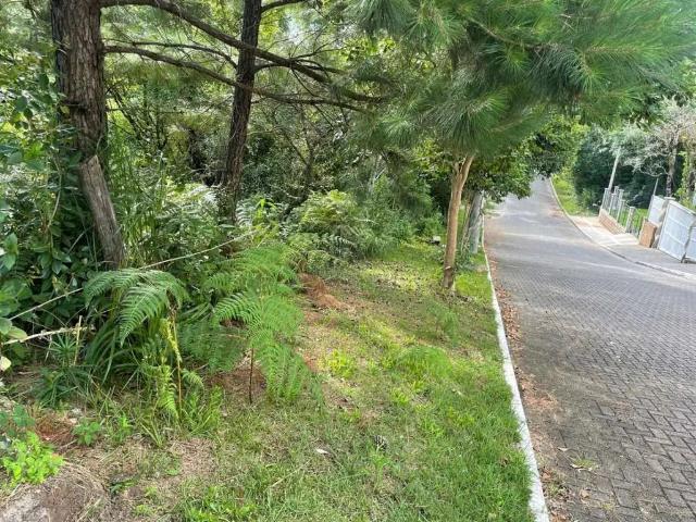 Terreno venda em Gramado