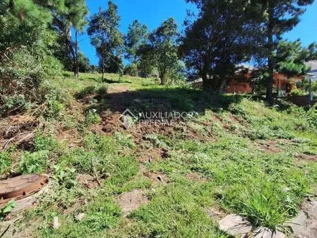 Terreno venda em Gramado