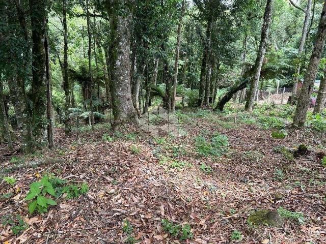 Terreno venda em Gramado