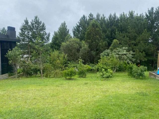 Terreno venda em Gramado