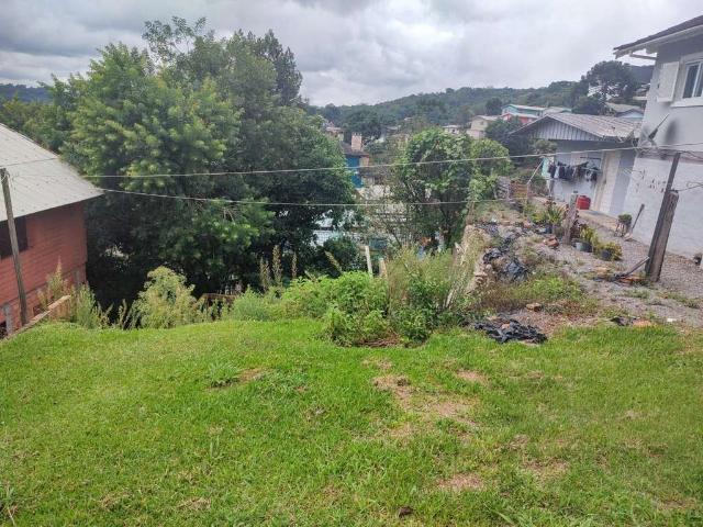 Terreno venda em Região Geográfica Imediata de Caxias do Sul, Gramado