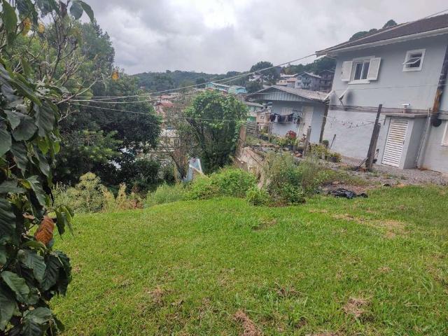 Terreno venda em Gramado