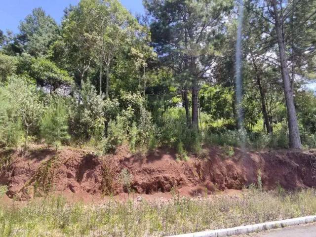 Terreno venda em Gramado