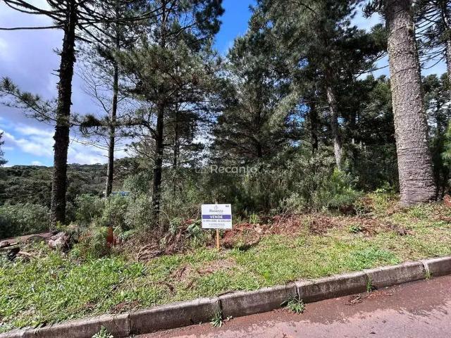 Terreno venda em Região Geográfica Imediata de Caxias do Sul, Gramado