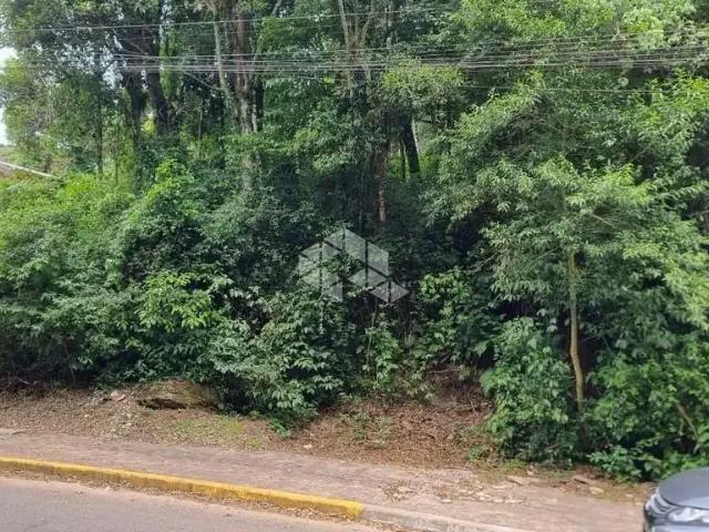 Terreno venda em Região Geográfica Imediata de Caxias do Sul, Gramado