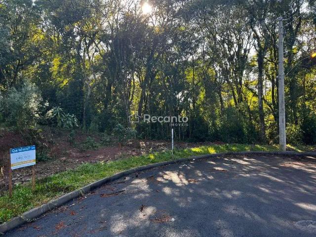 Terreno venda em Região Geográfica Imediata de Caxias do Sul, Gramado