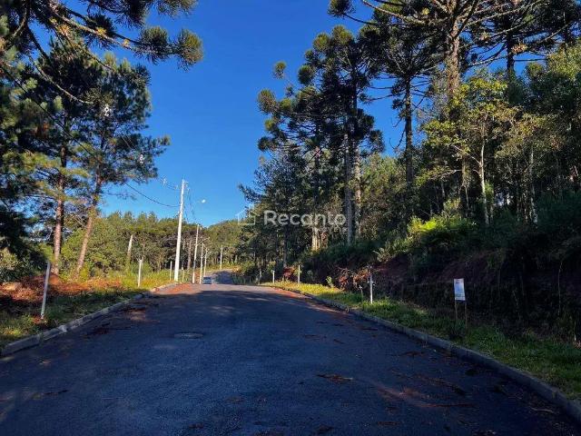 Terreno venda em Gramado