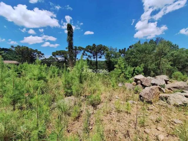 Terreno venda em Região Geográfica Imediata de Caxias do Sul, Gramado