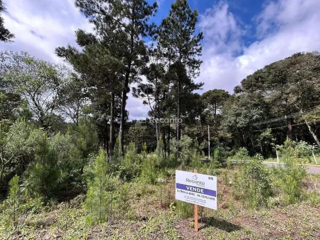 Terreno venda em Gramado