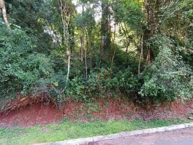 Terreno venda em Gramado
