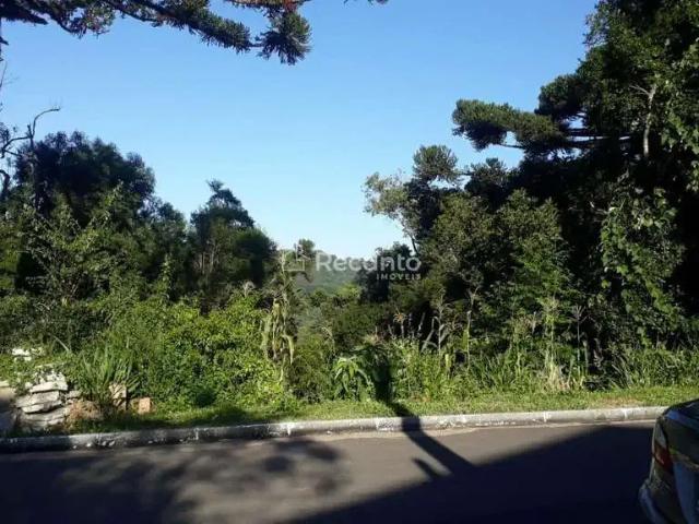 Terreno venda em Gramado