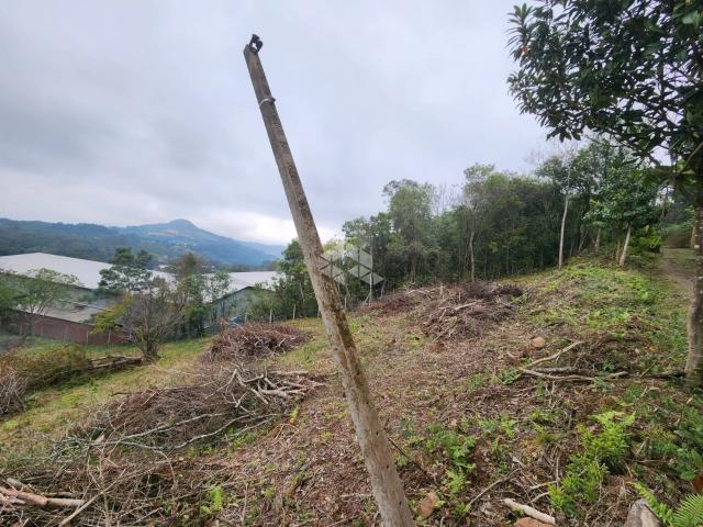 Terreno venda em Gramado