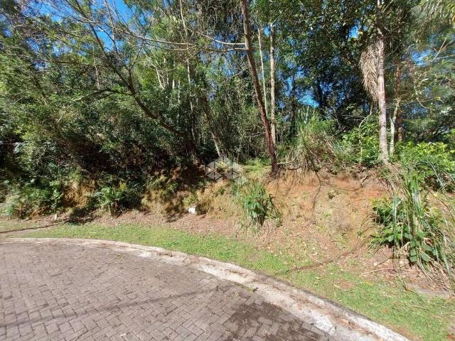 Terreno venda em Gramado