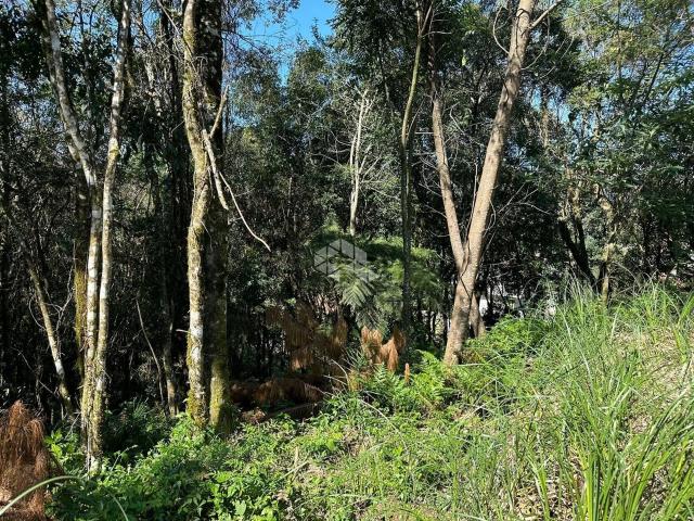 Terreno venda em Gramado