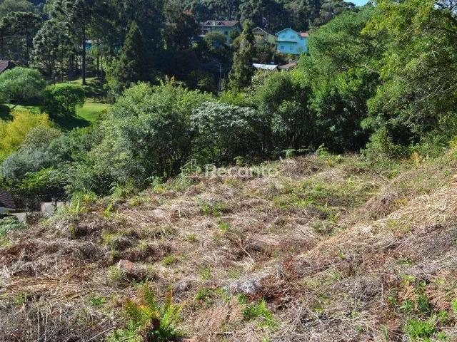 Terreno venda em Região Geográfica Imediata de Caxias do Sul, Gramado