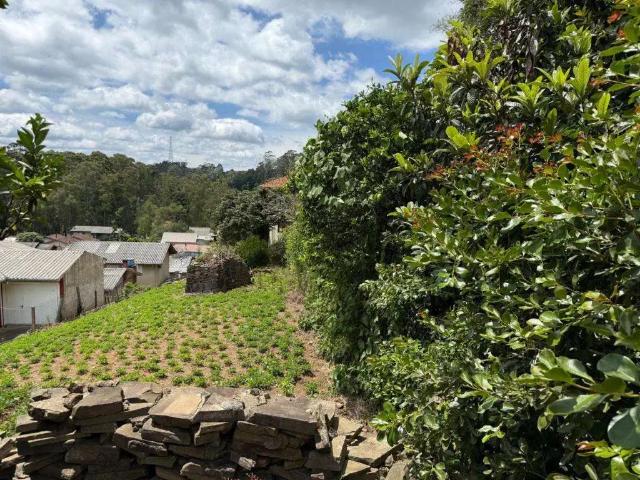 Terreno venda em Gramado