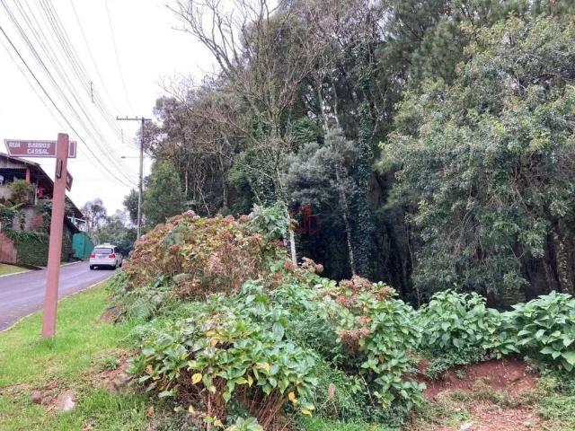 Terreno venda em Região Geográfica Imediata de Caxias do Sul, Gramado