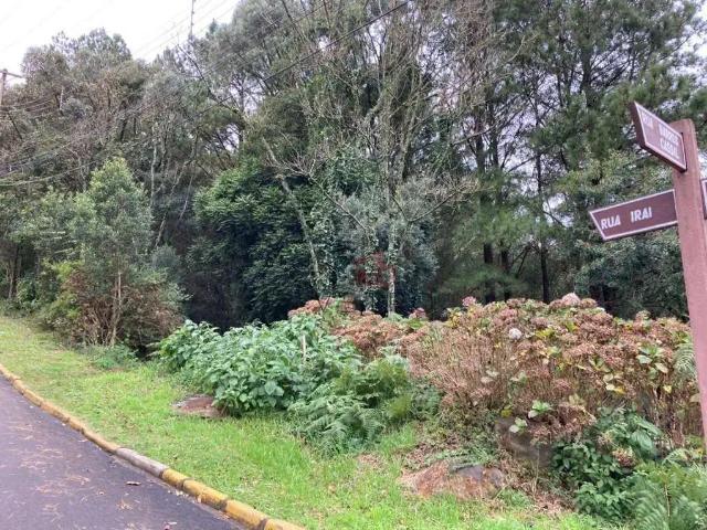 Terreno venda em Região Geográfica Imediata de Caxias do Sul, Gramado