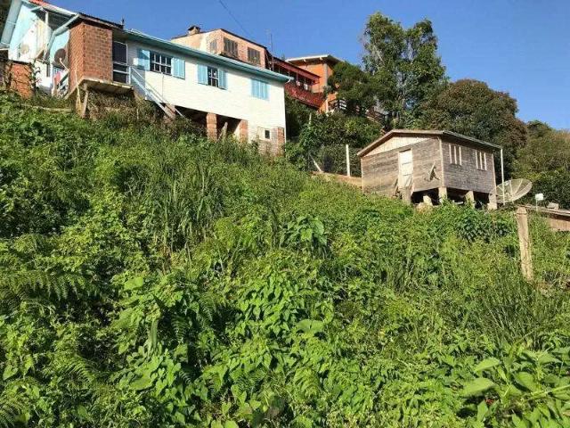 Terreno venda em Gramado