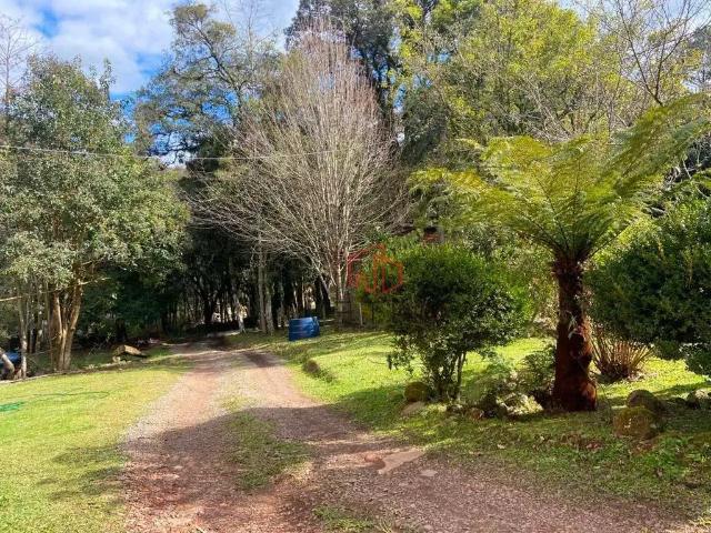 Terreno venda em Gramado
