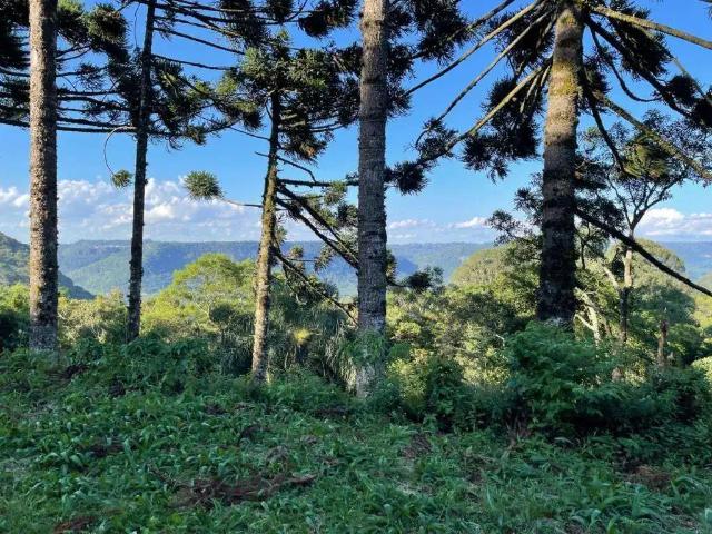 Terreno venda em Região Geográfica Imediata de Caxias do Sul, Gramado
