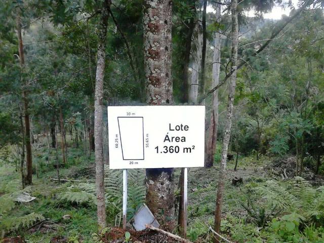 Terreno venda em Gramado