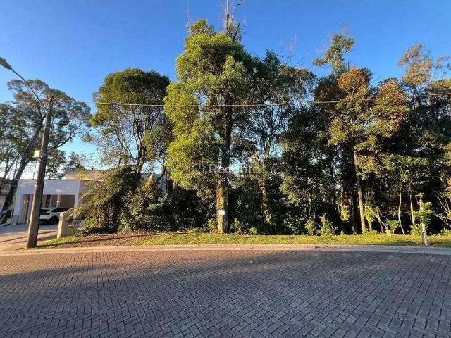 Terreno venda em Região Geográfica Imediata de Caxias do Sul, Gramado