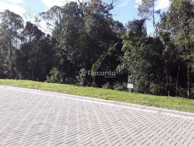 Terreno venda em Região Geográfica Imediata de Caxias do Sul, Gramado