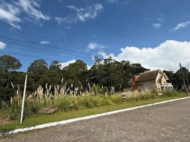 Terreno venda em Gramado
