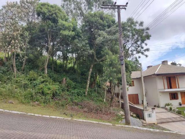 Terreno venda em Região Geográfica Imediata de Caxias do Sul, Gramado