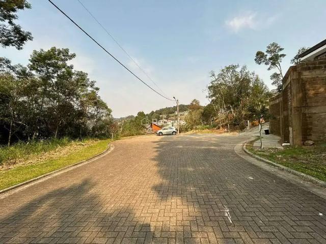 Terreno venda em Gramado