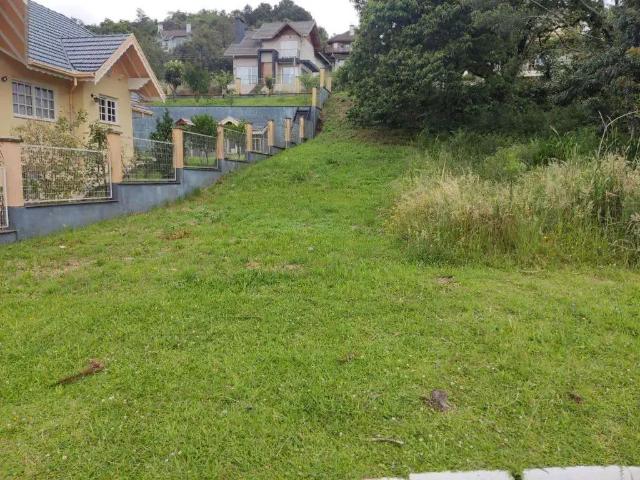 Terreno venda em Gramado