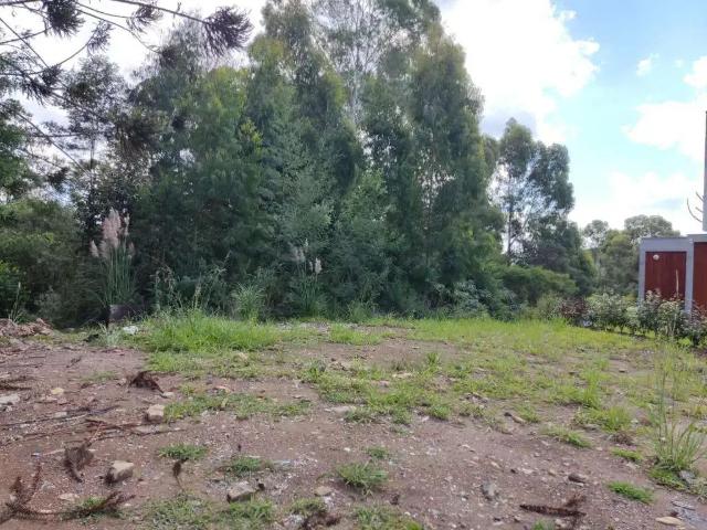 Terreno venda em Gramado