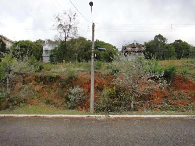 Terreno venda em Gramado