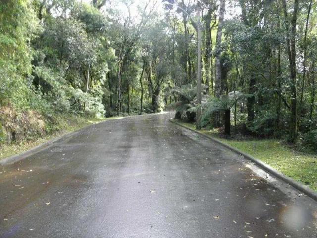 Terreno venda em Gramado