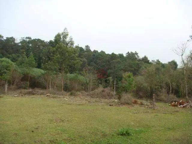 Terreno venda em Região Geográfica Imediata de Caxias do Sul, Gramado
