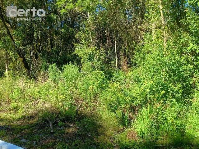 Terreno venda em Região Geográfica Imediata de Bento Gonçalves, Garibaldi