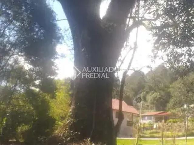 Terreno venda em Gramado